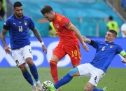 爱游戏在线登录-意大利主场大胜北爱尔兰，小组领先稳如磐石