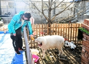 爱游戏亚洲官网-名宿加盟教练组，传授经验助力球队发展的简单介绍