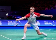 爱游戏培训-丹麦队与乌克兰队展开激烈较量