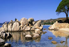 爱游戏新闻-多特蒙德球队士气旺盛备战比赛(多特蒙德球队实力)