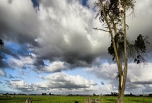 爱游戏官网入口-英超关键之战，胜负在掌握谁将夺魁？，英超战绩