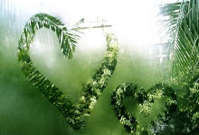 爱游戏活动-门兴客场惨遭绝杀，德甲梦碎止步云达不莱梅，门兴对不来梅历史战绩