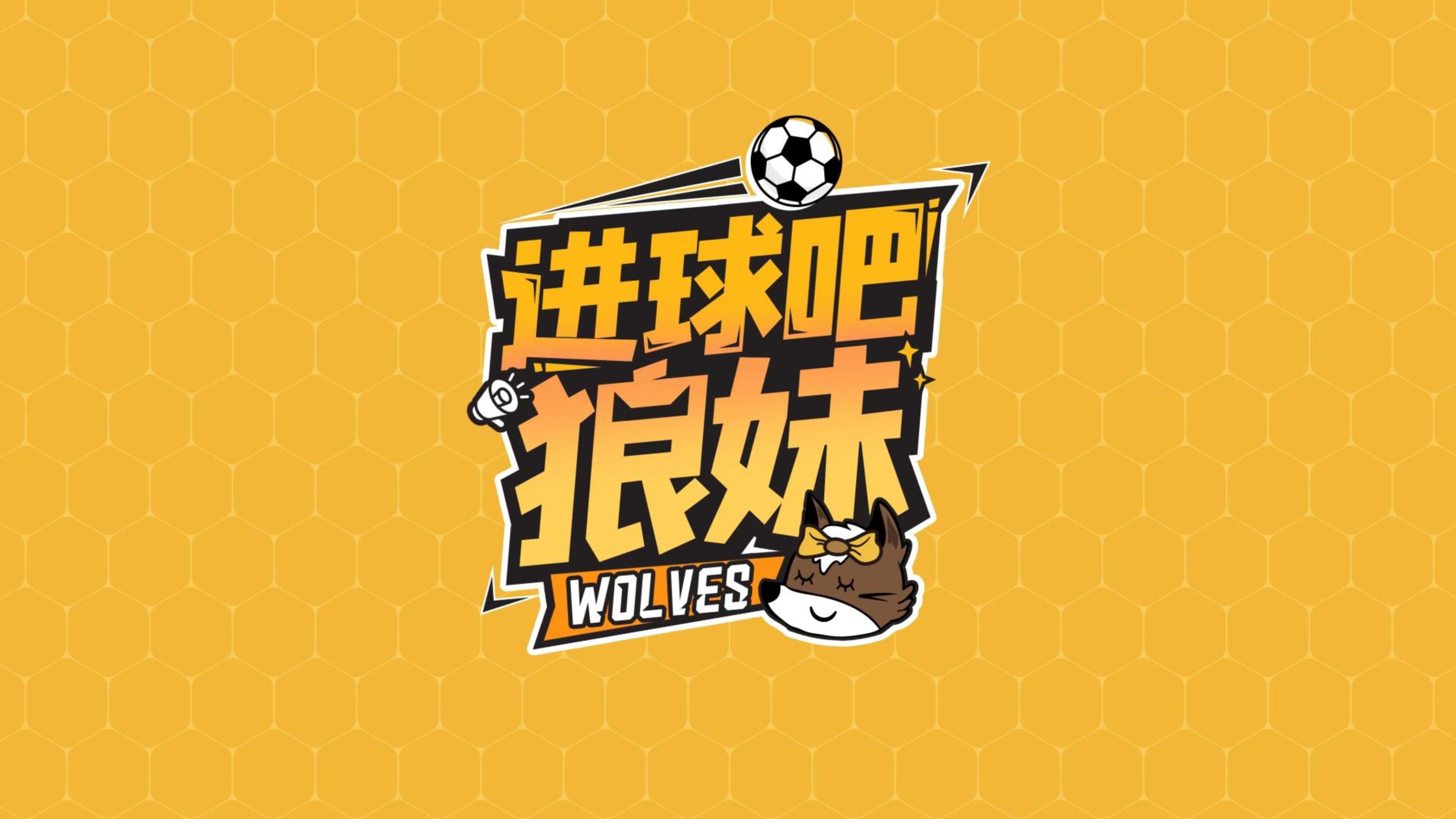 狼队备战极为充分,期待反弹表现的简单介绍 狼队备战极为充分,期待反弹表现的简单介绍