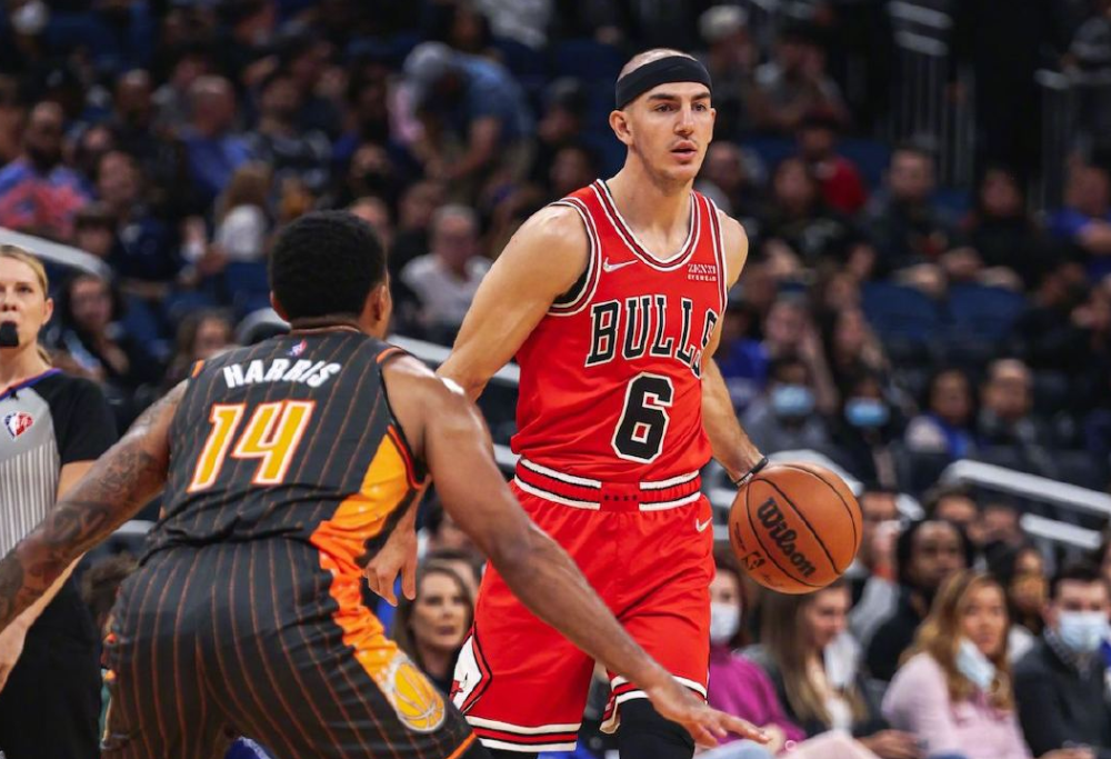 玫瑰花多点开，公牛队取胜节奏不断延续的简单介绍