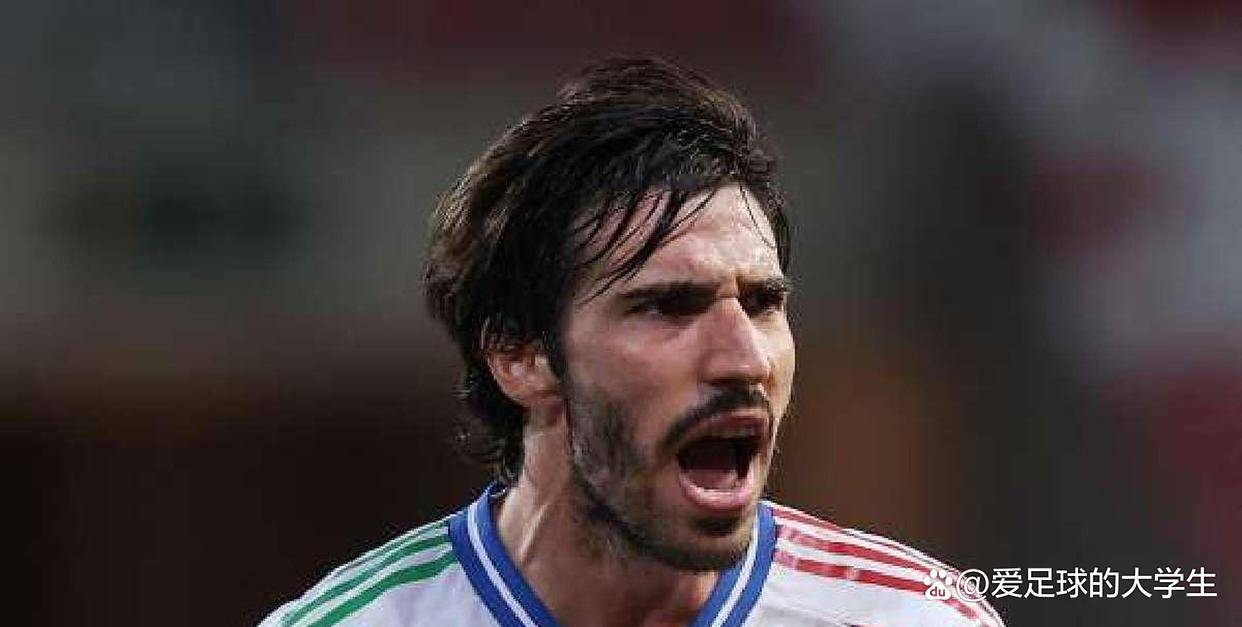 意大利队的防守稳如泰山,敌人束手无策 意大利队的防守稳如泰山,敌人束手无策