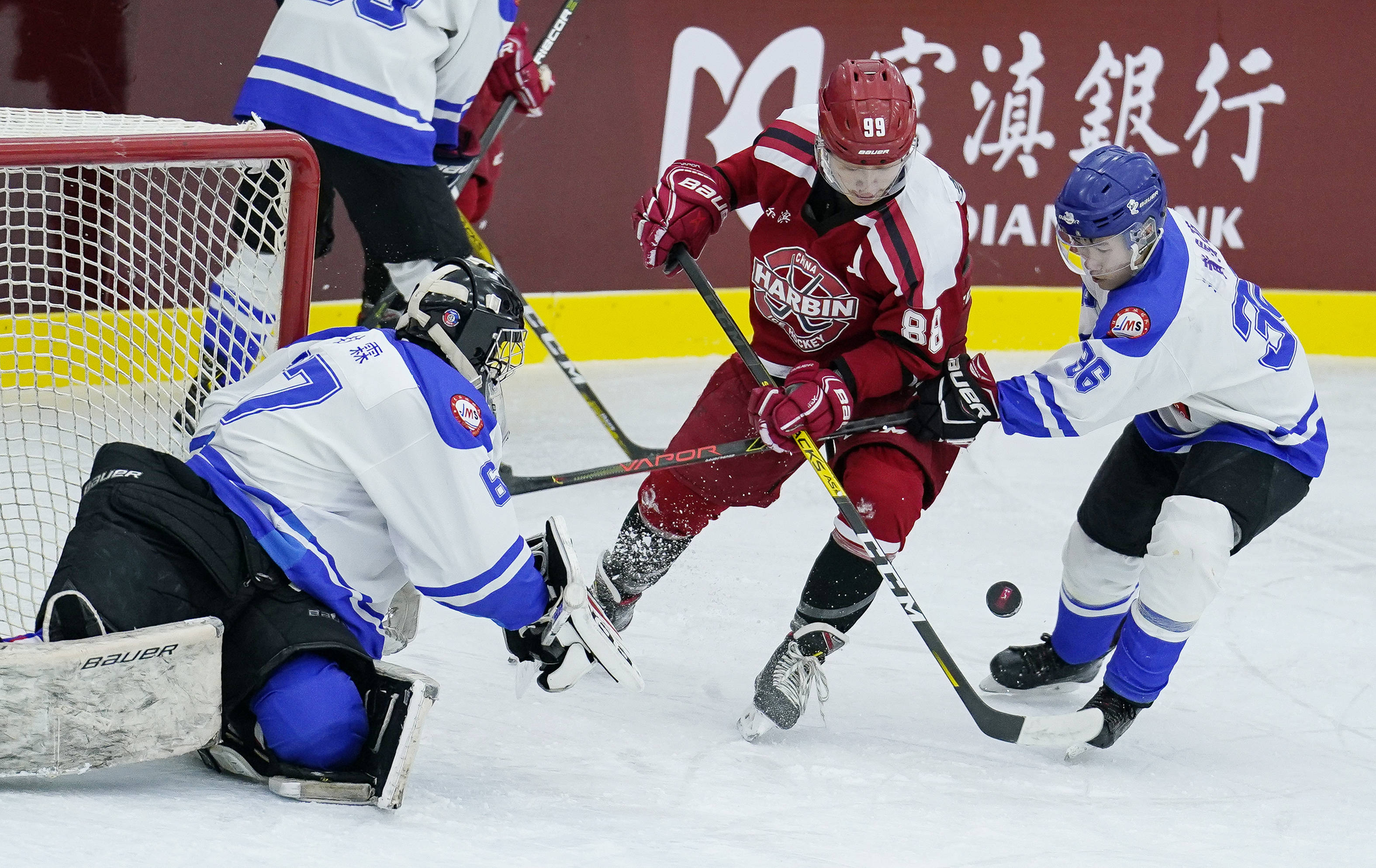 哈尔滨队战胜对手,迈向胜利之路! 哈尔滨队战胜对手,迈向胜利之路!