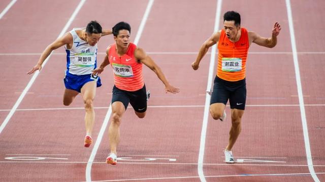 米内罗球员坚持训练，专心备战重要比赛的简单介绍